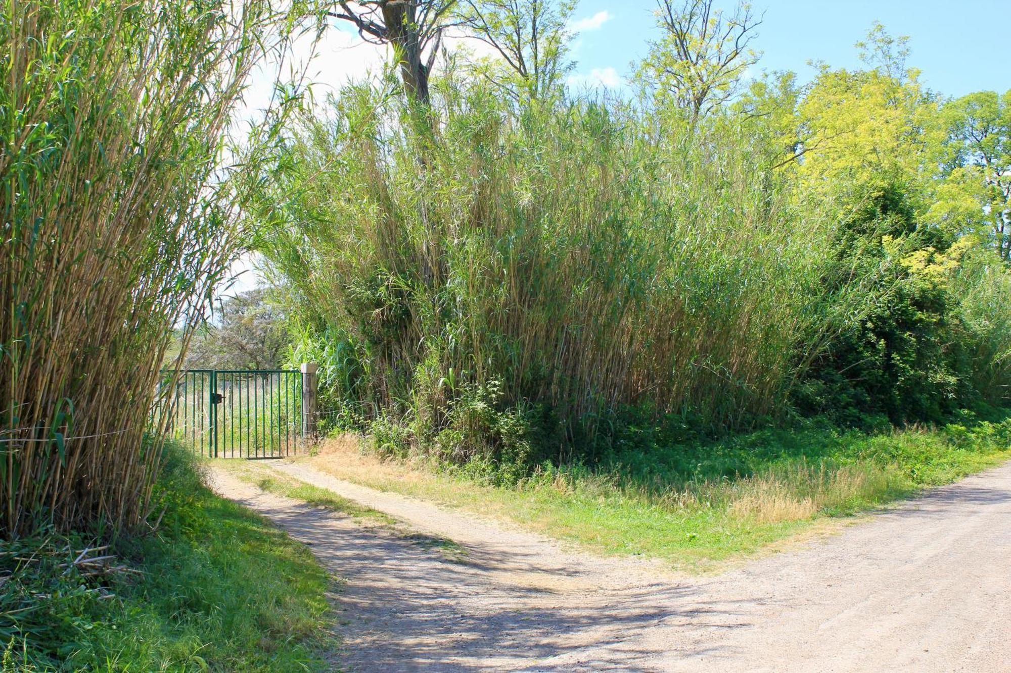 Vila Lobilum En Camargue Saint-Martin-de-Crau Exteriér fotografie
